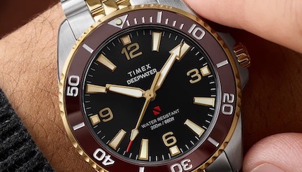 Timex Deepwater Arctic Diver