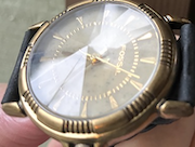Fossil Adventure